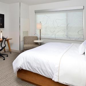 Standard King Room Mobility or hearing accessible